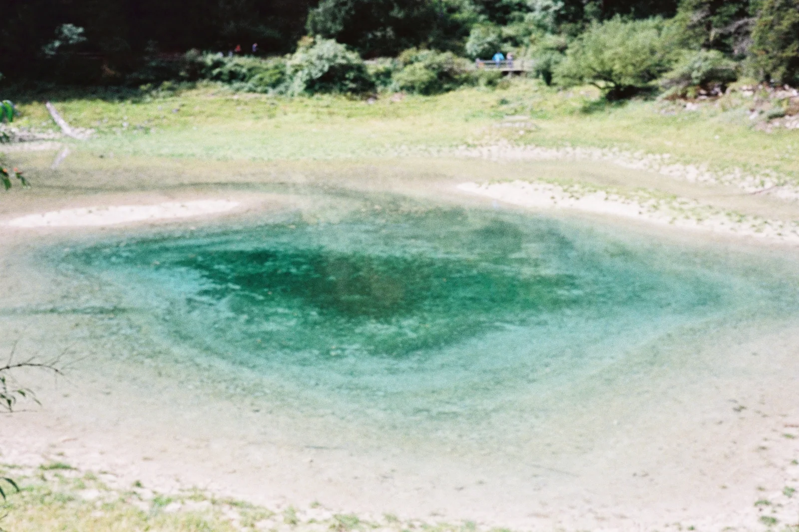 浅色湖岸与绿色湖水