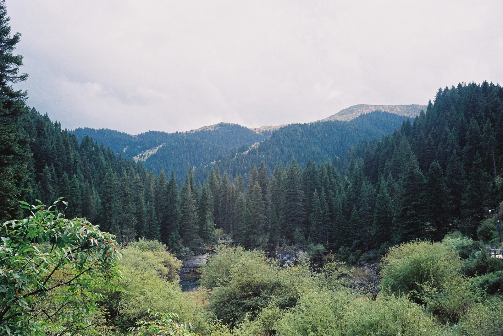 远处山谷与层层树林