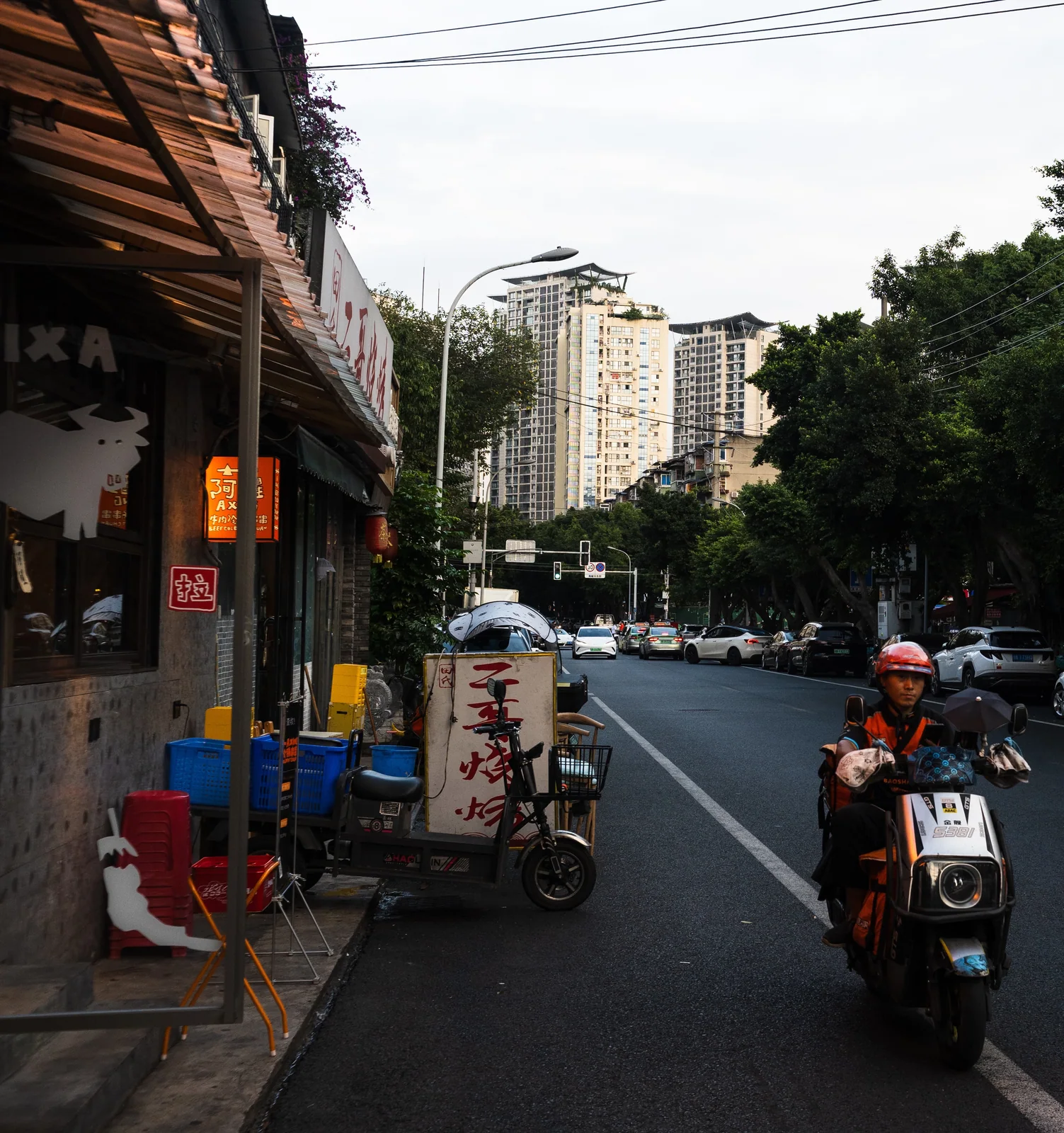 树荫下的街道与远处建筑